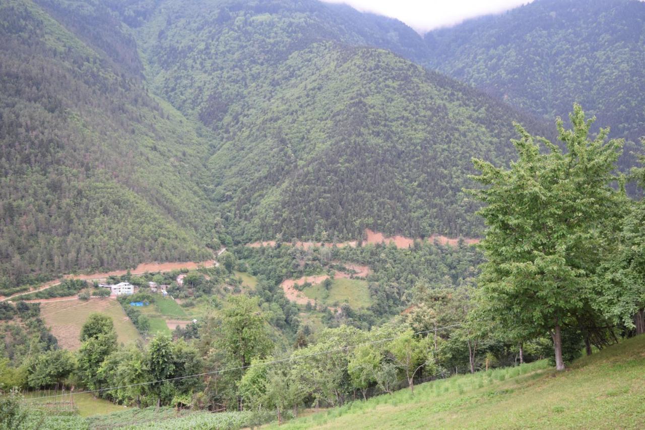 Mars Otel Artvin Exterior photo