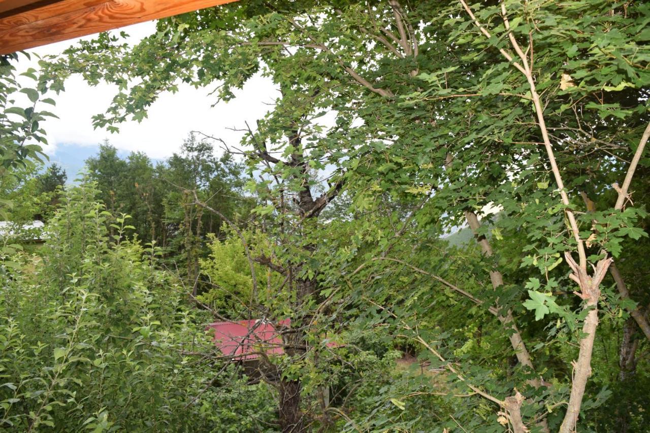 Mars Otel Artvin Exterior photo